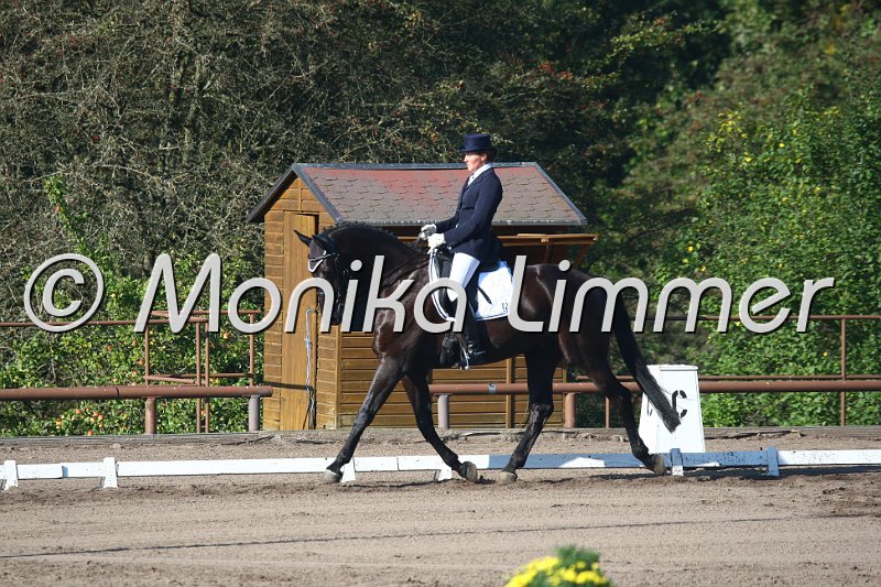 009L1605_Sympathicus KR_Dressur M.JPG